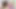 Paige Ashley katie kaliana ile çifte anal seks yapıyor