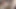 Cezayirli kızımla ateşli seks Arap orgazmı