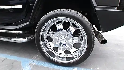 LEXINGTON SOPHIE DEE'YI SEVIYOR (tam film)