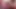 Anna ve Susi yeni güzel siyah dildoyu deniyor