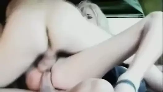 iki yarak içinde bir tatlı KEDİ