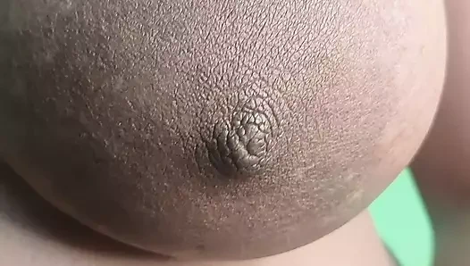 bengalce boudi gösterilen KEDİ ve pislik yakın çekim