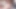 Tombul sarışın Shayla Pink büyükbaba amını sikerken daha fazlası için yalvarıyor