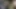 Üvey erkek kardeşim araba sürerken çok sert boşalıyorum