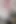 YoungEnglishBBW giving BBC Nata4sex amazing sloppy blowjob
