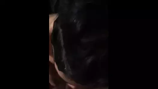 İyi kafa ve kedi 4 hızlı fındık yapar