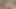 Halley Hill şehvetli bir kolej oral seksi için büyük sert bir yarağı kırbaçlıyor