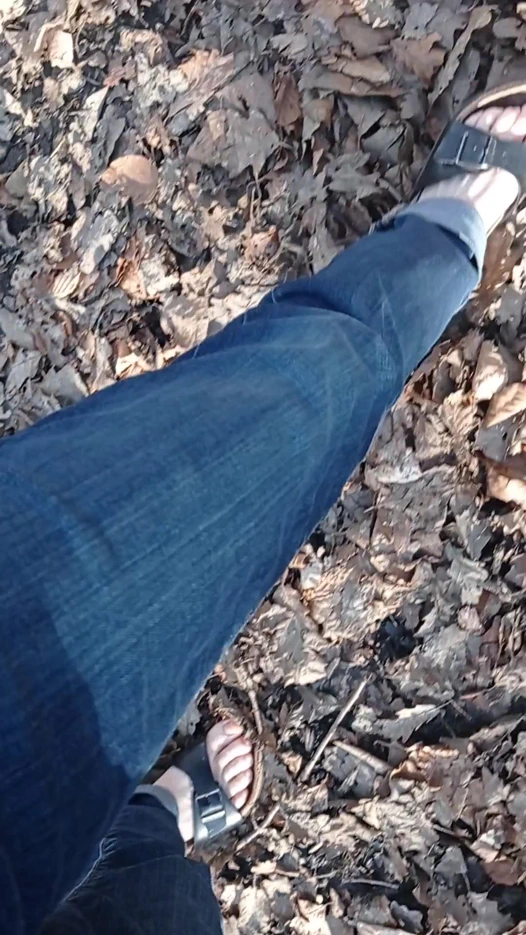 Ormanda biraz güneş ışığı