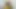 Güzel latin sürtük komşusunu sikiyor - İspanyolca porno