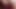 IMG7881