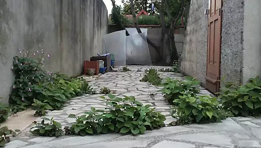 Telefon dikkat dağıtma ii