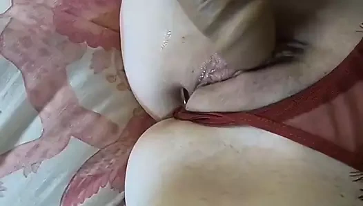 Maitland ward gopro fiş içinde benim asstoy içinde benim kedi