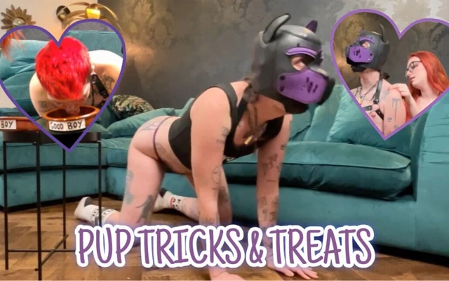 Pup boy numara yapıyor ve ikram ediyor