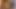 Amatör çift evde porno videosu çekiyor - kamera arkası