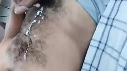Hermoso jarocho peludo leche