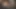 Orta yaşlı seksi kadın kaygan yarak emiyor