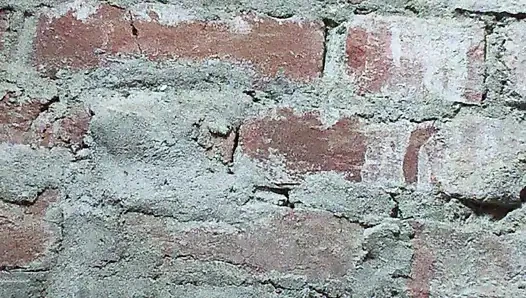 Seksi video