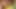 Büyük memeli orta yaşlı seksi kadın sarı kanepede yağlanıyor ve sert sikiliyor