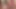 Piggy Rose büyük ayı ve lucipork ile xbiz miami'de yayın yapıyor
