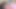 PORNO KALTAK BÜYÜK BIR YARAĞA BINERKEN INLIYOR
