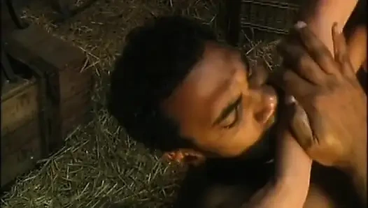 Çiftlikte siyah ve beyaz anal