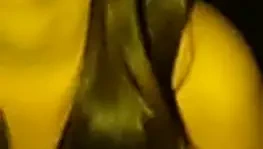 güneşli leone mavi ceket