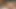İnanılmaz porno videosunda anal sekste çarpıcı Asyalı bir hatun yer alıyor