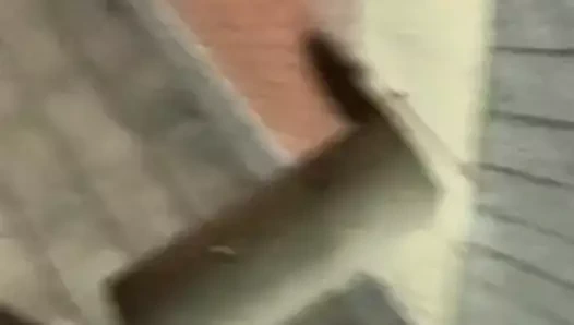 Sadece o kedi kaplı