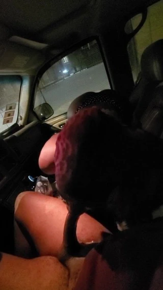 Kar yağışlı bir gecede yarak emiyor