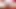 Sıcak düzgün vücutlu kız koyar dildos içinde ona kedi