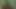 Porno