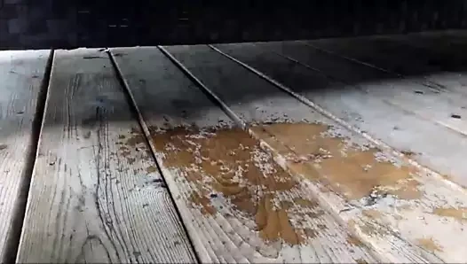 Şişman kızıl saçlı kedi oyuncak kadar oynuyor