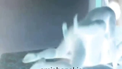 Missionary Hard Bangs