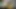 Yeni ateşli ev hanımı tam yüz gösterisiyle sikiliyor