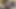 kinkbomb üzerinde tam vücut sarılmış eşek boğma tam video