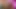 Yaşayan porno efsaneleriyle üçlü bir ilişki viral oldu