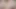 Miko naylon külotlu çorap 3d animasyon - büyük meme masajı inliyor, anal vibratör oyunu, sansürsüz hentai'de fışkırtmak için yoğun parmaklama