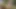 Risky Forest Bath Quickie - Almost Caught Fucking