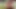 Öğrenci aneta double oyuncakları ile kendine nüfuz eder, ama o gerçekten gerçek bir horoz tercih ederdi - mydirtyhobby