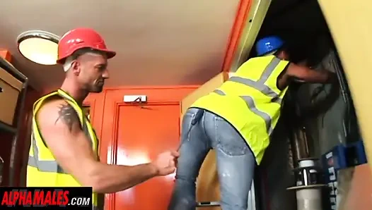 Alfamales - işçiler sikişiyor!!