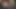 Orta yaşlı seksi kadın kaygan yarak emiyor