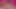 Ladyboy aşıkları