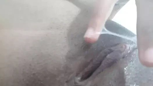 Kamila var bir ıslak kedi