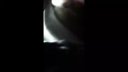 çarşafların altında kedi yalama