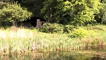 Glatzensklavin Meehr