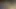 siyah kıllı ıslak KEDİ