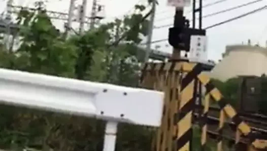 Yol kenarında becerdin köpek stili, bir tren geçerken