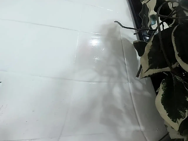 Lizzy Yum vr 2025 kenar #192