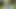 Spass im Wald (10.05.2017)