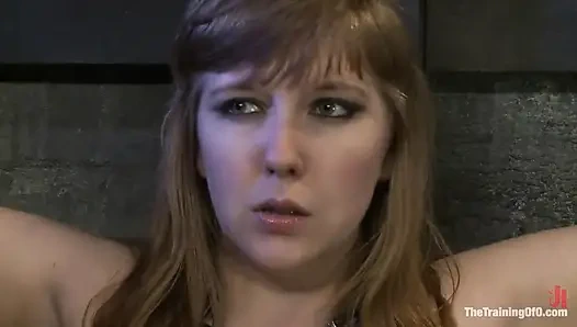 Nerine Mechanique'i test etme, 2. gün